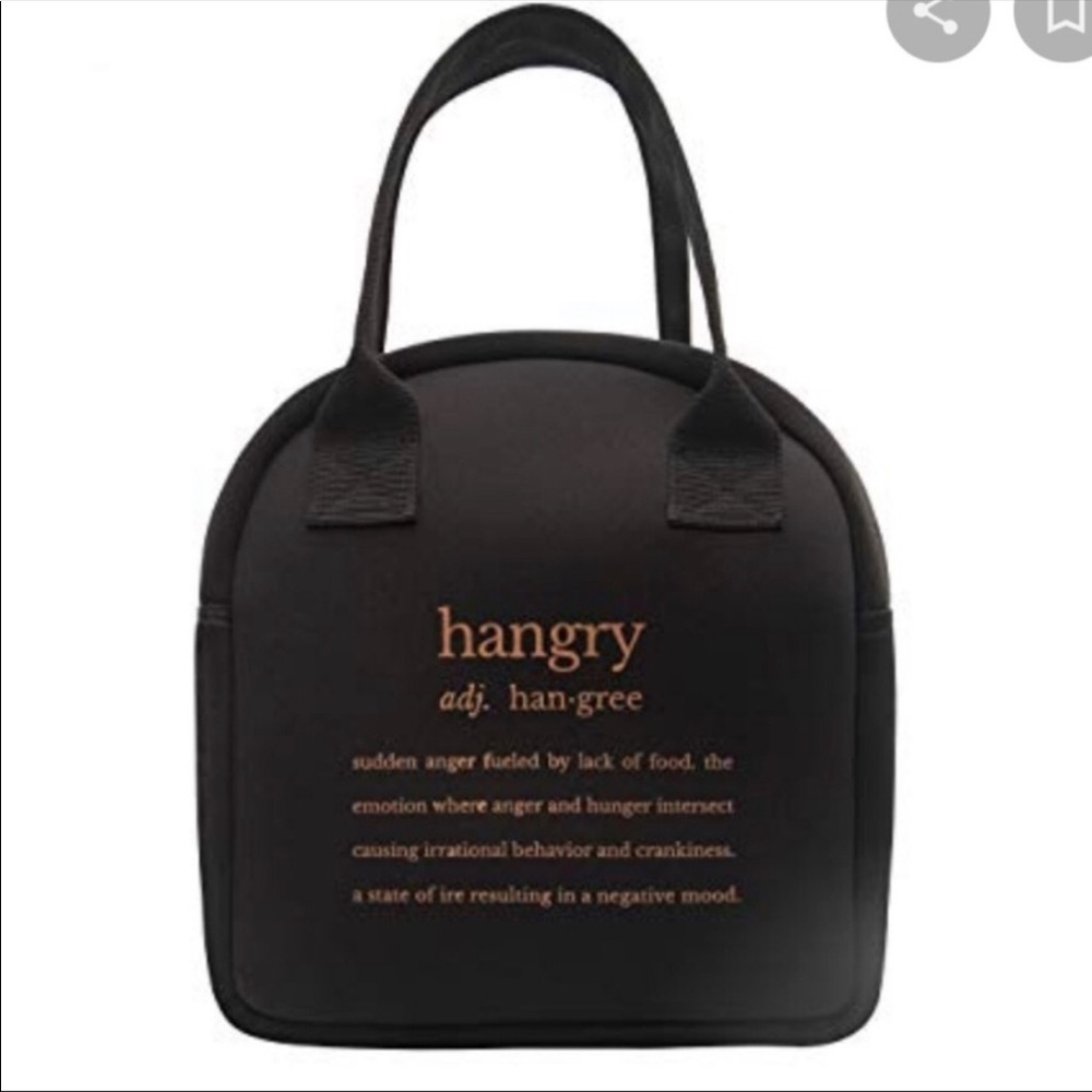 New insulated lunch tote